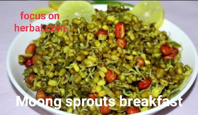 Moong sprouts breakfast recipe